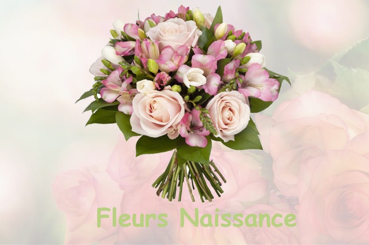 fleurs naissance SAINT-PIERRE-DE-FRUGIE